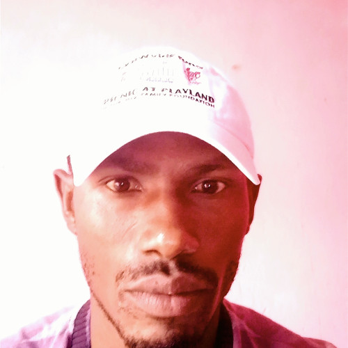 Paul K. profile photo