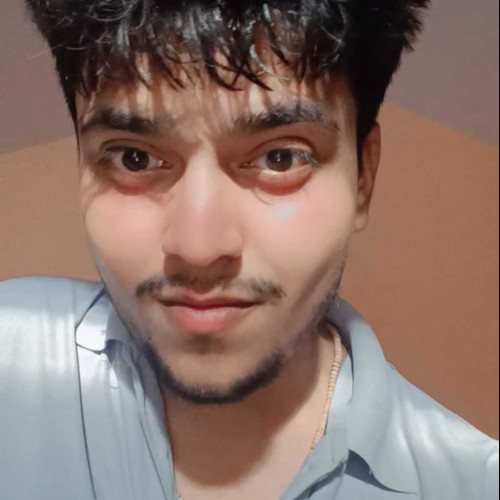 Ayush S. profile photo