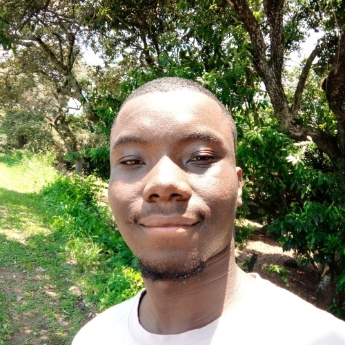 Wandile S.