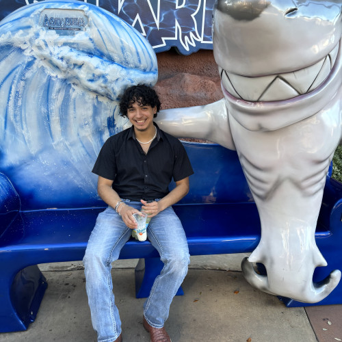 damian m. profile photo