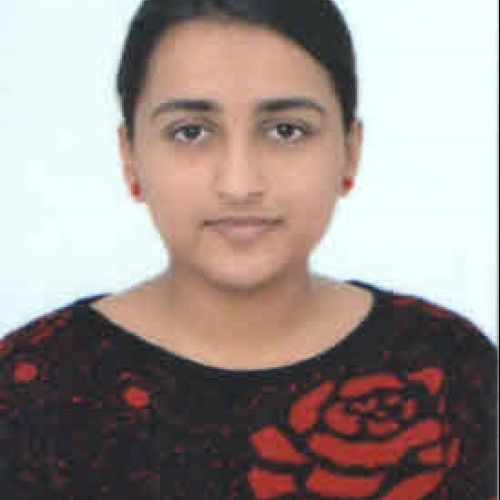 Harshit K. profile photo