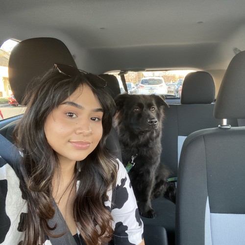 Vera P. profile photo
