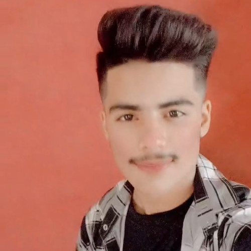 Ansh panjwani P. profile photo