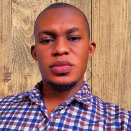 Kingsley  O. profile photo