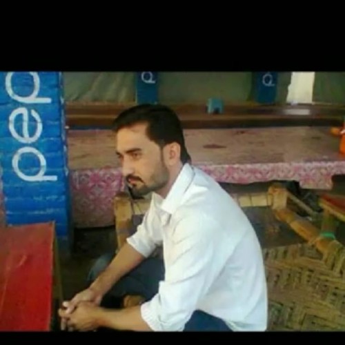 zia ur r.