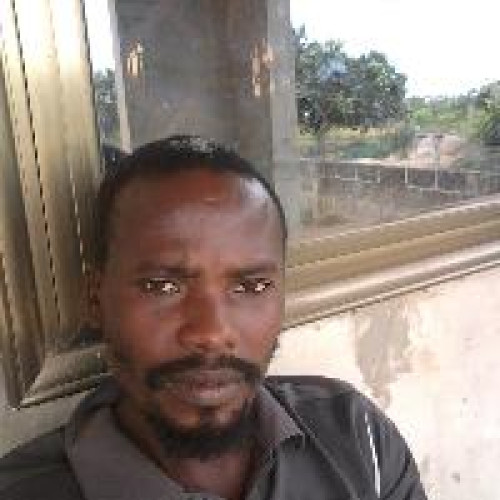 Alfred A. profile photo