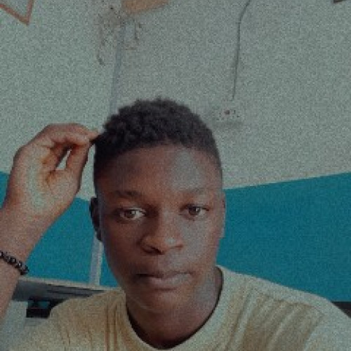 Obisesan  T. profile photo