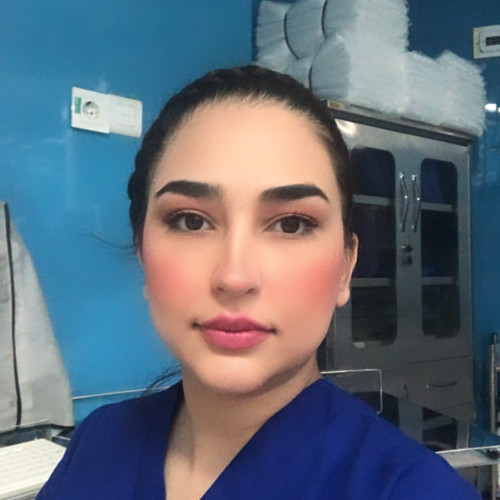 Mina mohi A. profile photo