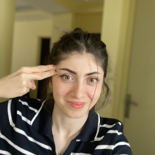 Shaghayegh N.