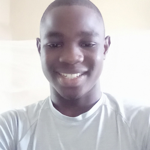 David N. profile photo