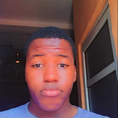Daniel D. profile photo
