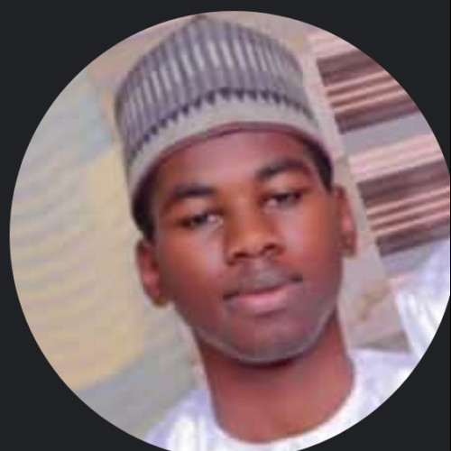 Ibrahim s. profile photo