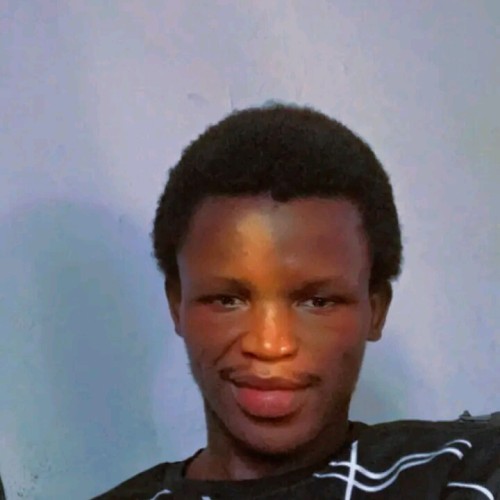 Hélio M. profile photo