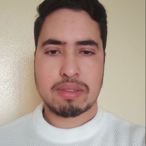 ABDELAZIZ E. profile photo