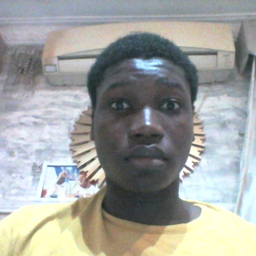 odukoya  s. profile photo