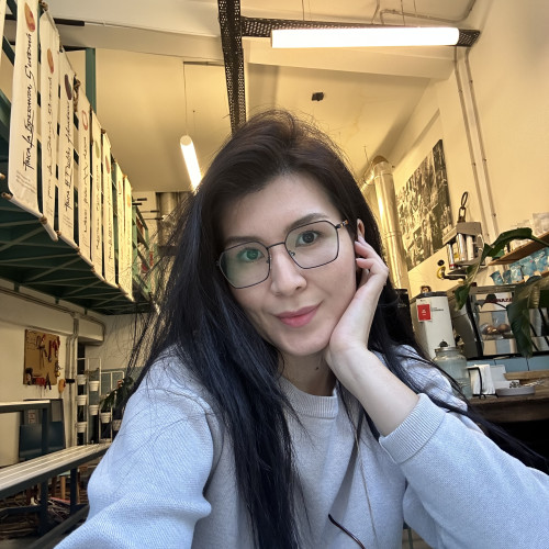 Aya B.
