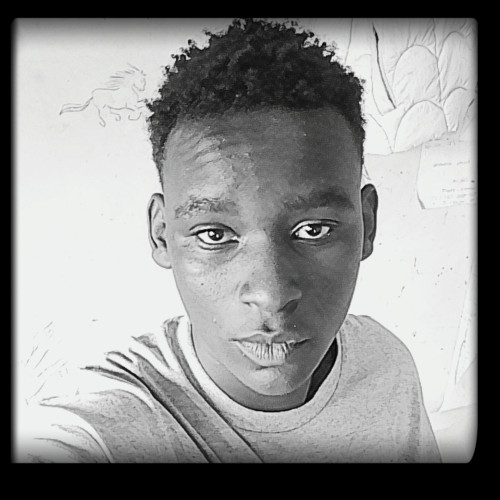 Sam M. profile photo