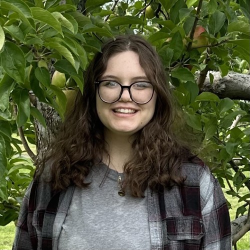 Ally K. profile photo