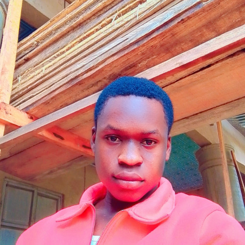 Levi E. profile photo