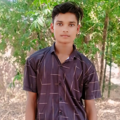 Dhirendra K. profile photo