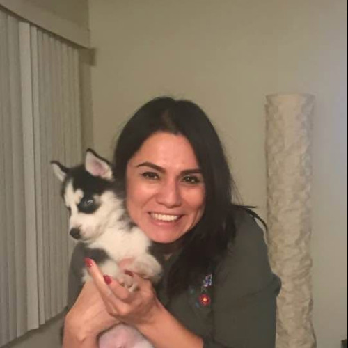 Isa V. profile photo