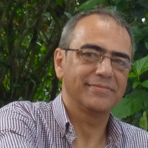 Roman V. profile photo