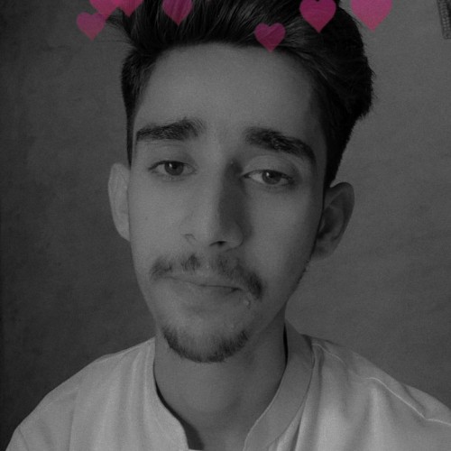 Hassan K.