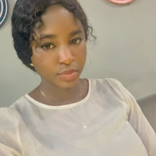 Oluwabukunmi o. profile photo