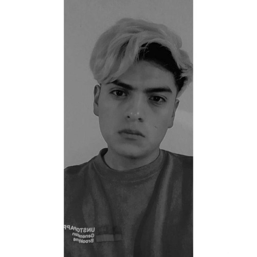 DANI P. profile photo