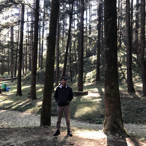 Amit D. profile photo