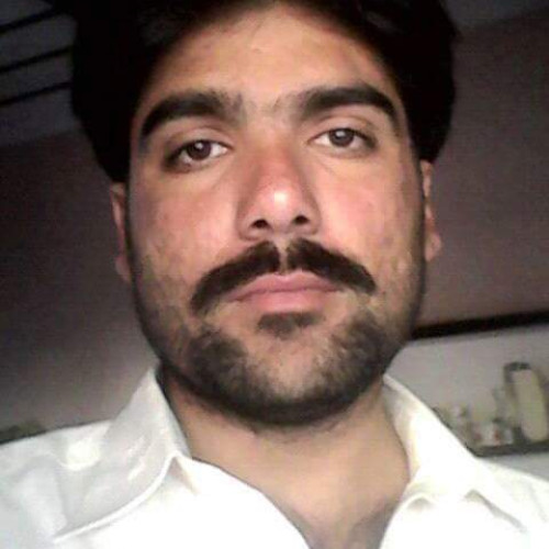 Alexander  K. profile photo