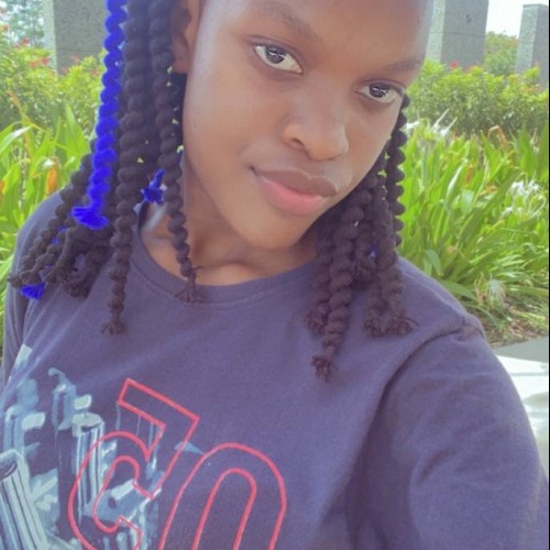 Romanzi Z.