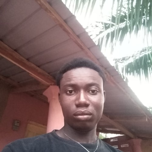 AYEBO KOFFIVI  T. profile photo