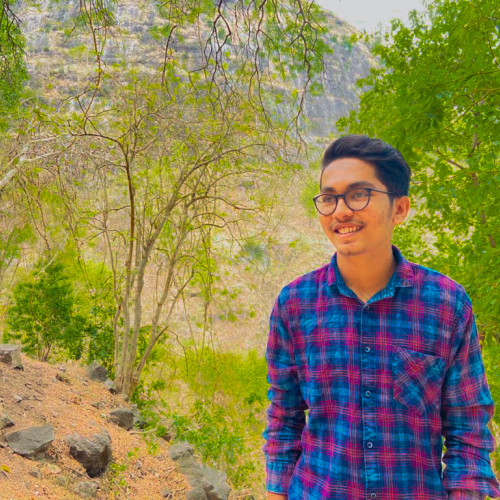 Ritesh P.