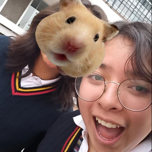 Romina L. profile photo
