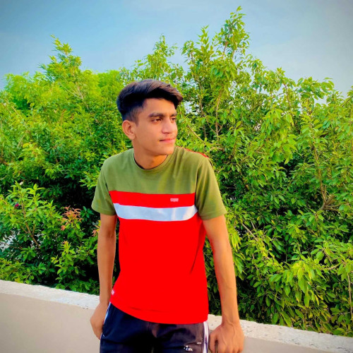 gullu t.