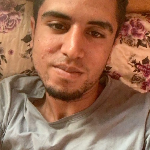 mehdi f. profile photo