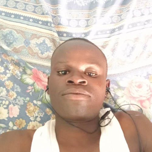 Denis N. profile photo