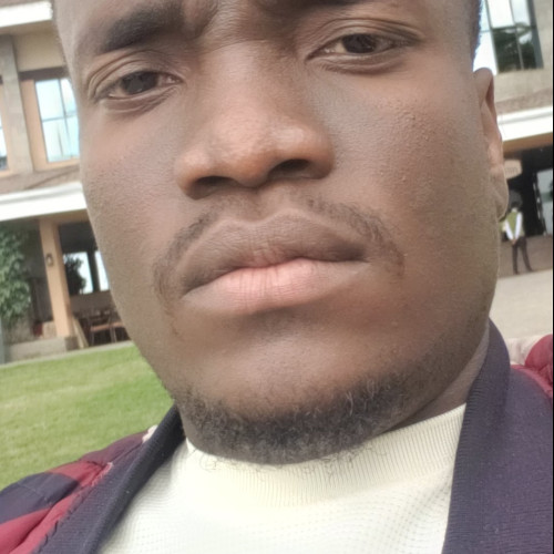ALI M. profile photo