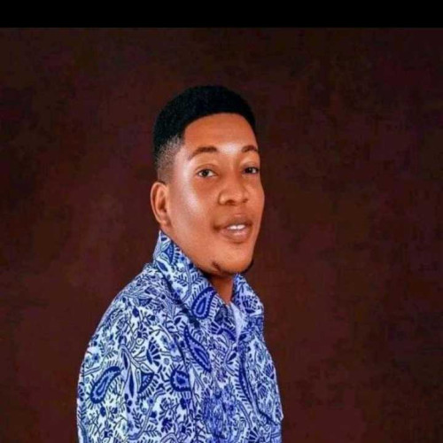 Olawale B. profile photo