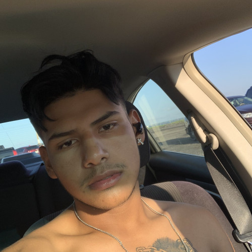 Luis  E. profile photo