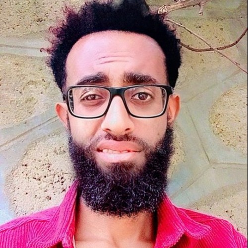 Hamza A.