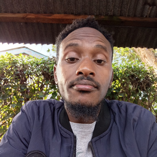 Albert K. profile photo
