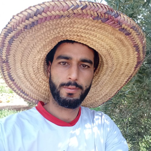 yassine L. profile photo