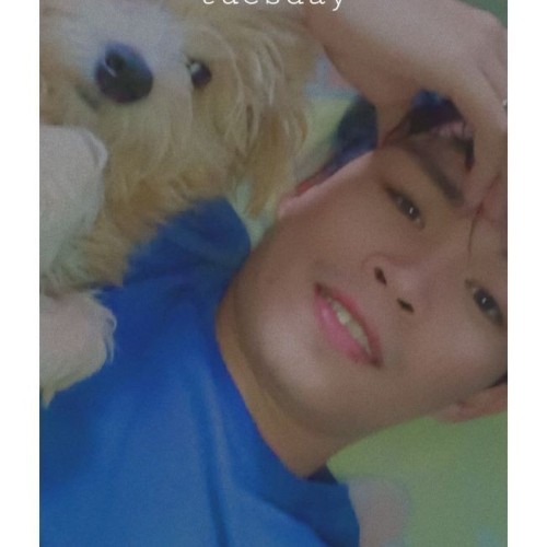 SAMBOY  S.