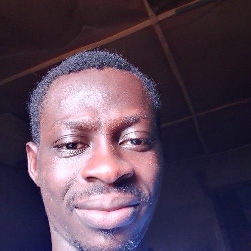 Ogunjobi T.