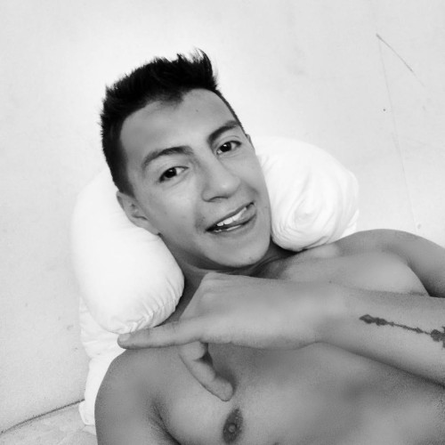 Stiven wolf C. profile photo