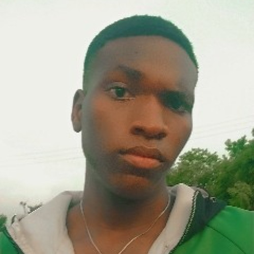 Ayodeji A. profile photo