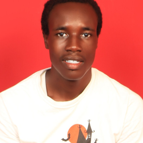 vincent o. profile photo