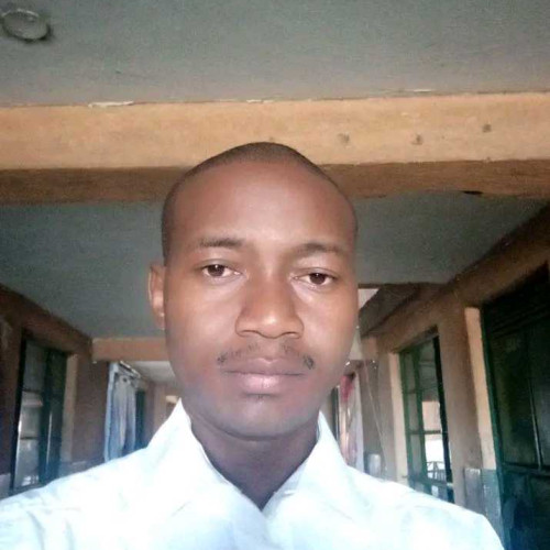 David m. profile photo